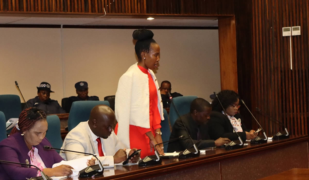 PM's Office First Quarter Performance Report Debate by the House of Assembly Portfolio Committee