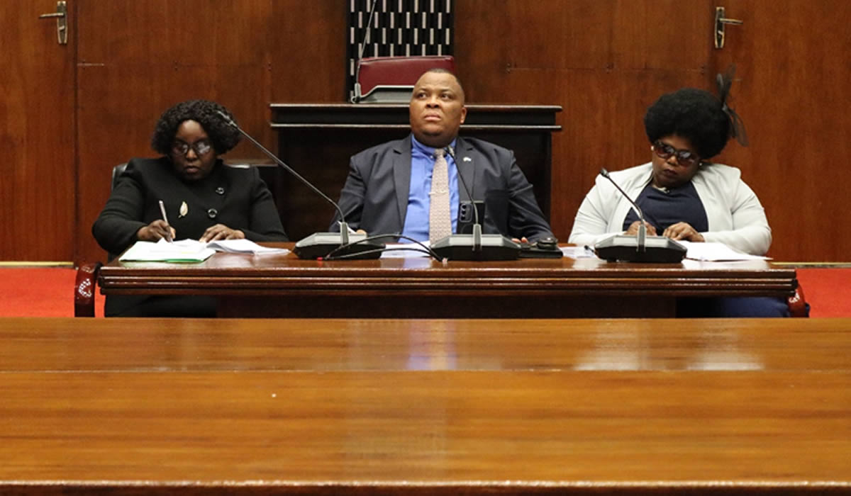 PM's Office First Quarter Performance Report Debate by the House of Assembly Portfolio Committee