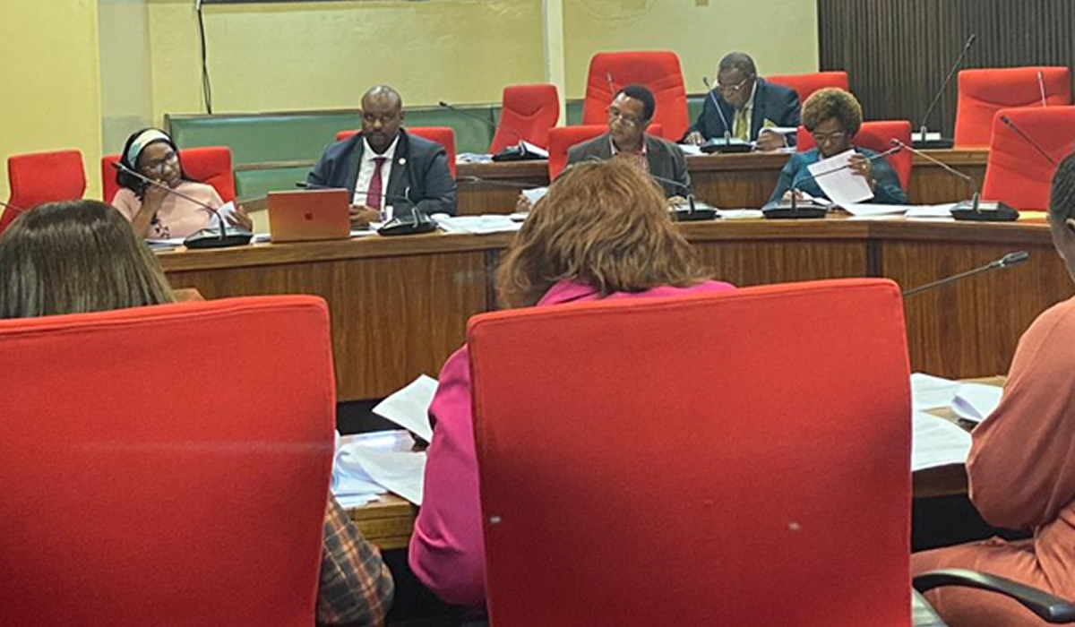 The Ministry of Finance Portfolio Committee in a Clause by Clause Session.